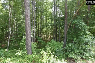0 Longview Drive #90, Leesville, SC 29070 - Photo 16