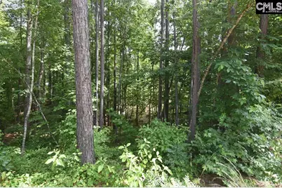 0 Longview Drive #90, Leesville, SC 29070 - Photo 4