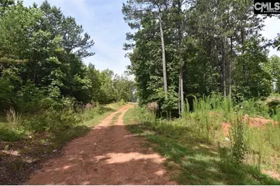 0 Longview Drive #90, Leesville, SC 29070 - Photo 8