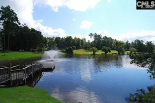 256 Sheringham Rd, Columbia, SC 29212 - Photo 48