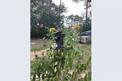 115 Candlelight Drive, West Columbia, SC 29170 - Photo 32