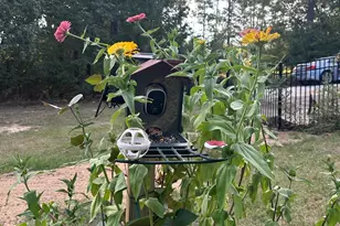 115 Candlelight Dr, West Columbia, SC 29170 - Photo 32