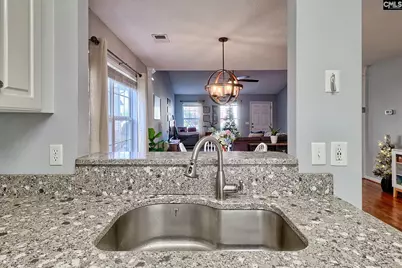 108 Merowey Court, Chapin, SC 29036 - Photo 12