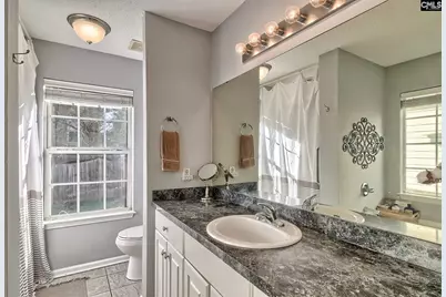 108 Merowey Court, Chapin, SC 29036 - Photo 18