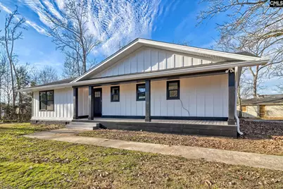3048 Wessinger Road, Chapin, SC 29036 - Photo 2