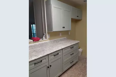 3725 Fish Hatchery Road, Gaston, SC 29053 - Photo 4