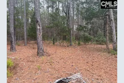 122 Williams Wood Drive, Prosperity, SC 29127 - Photo 8