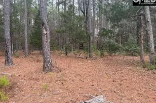 122 Williams Wood Dr, Prosperity, SC 29127 - Photo 8