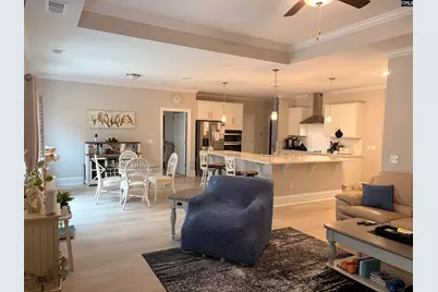 276 Murray Falls Lane, Chapin, SC 29036 - Photo 4