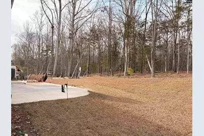 276 Murray Falls Lane, Chapin, SC 29036 - Photo 8