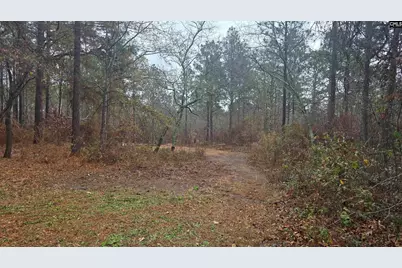 165 Landfill Lane, Lexington, SC 29073 - Photo 8