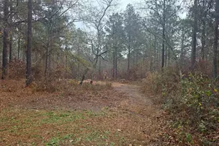 165 Landfill Ln, Lexington, SC 29073 - Photo 8