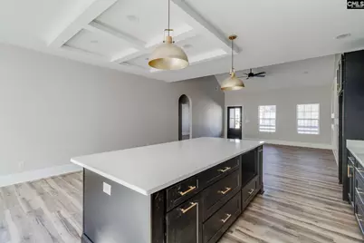 50 Rambling Drive, Elgin, SC 29045 - Photo 10
