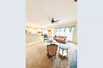 208 Saints Creek Lane, Irmo, SC 29063 - Photo 6