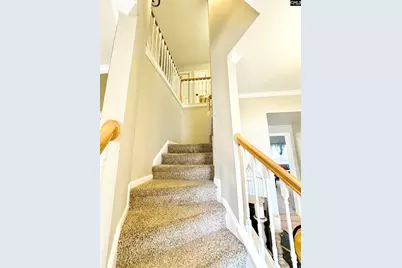 208 Saints Creek Lane, Irmo, SC 29063 - Photo 16