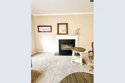 208 Saints Creek Lane, Irmo, SC 29063 - Photo 8