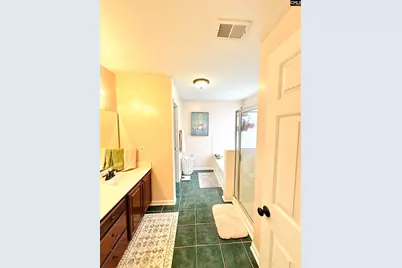 208 Saints Creek Lane, Irmo, SC 29063 - Photo 20
