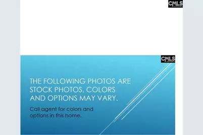 329 Mont Haven Place, Lexington, SC 29072 - Photo 1