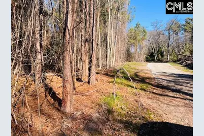 0 J Farm Trail #4, Leesville, SC 29070 - Photo 6