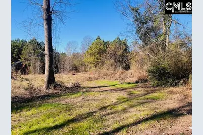 0 J Farm Trail #3, Leesville, SC 29070 - Photo 1