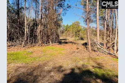 0 J Farm Trail #3, Leesville, SC 29070 - Photo 4