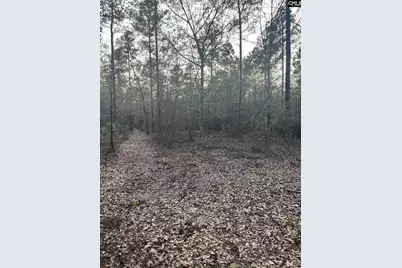 Goo 10 A Wendell Lane Goo 10 A, Wagener, SC 29164 - Photo 12