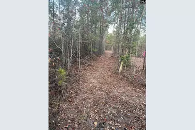 Goo 10 A Wendell Lane Goo 10 A, Wagener, SC 29164 - Photo 4