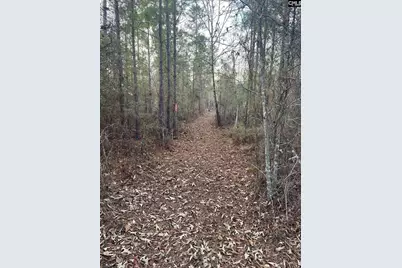 Goo 10 A Wendell Lane Goo 10 A, Wagener, SC 29164 - Photo 2
