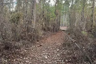 Goo 10 A Wendell Ln Goo 10 A, Wagener, SC 29164 - Photo 1