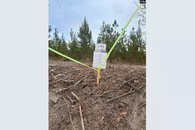 Qbf 5 Quattlebaum Road Qbf 5, Batesburg, SC 29006 - Photo 1