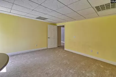 105 Rolling Creek Circle, Irmo, SC 29063 - Photo 60