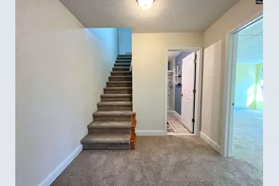 105 Rolling Creek Circle, Irmo, SC 29063 - Photo 50