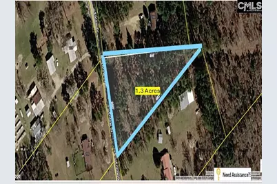 134 Enlow Road, Batesburg, SC 29006 - Photo 2