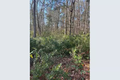 15 Derby Lane, Lugoff, SC 29078 - Photo 20