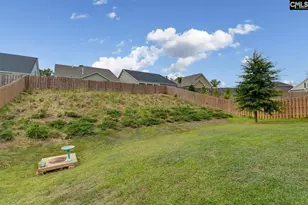 3010 Chilmark Rd, Chapin, SC 29036 - Photo 44