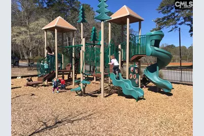 248 Wessinger Farms Road, Chapin, SC 29036 - Photo 42