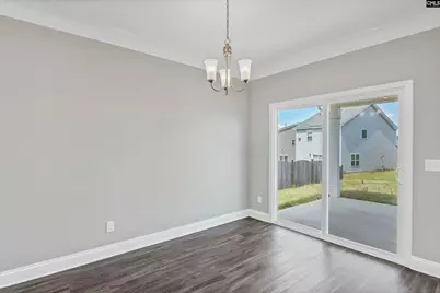 248 Wessinger Farms Road, Chapin, SC 29036 - Photo 38