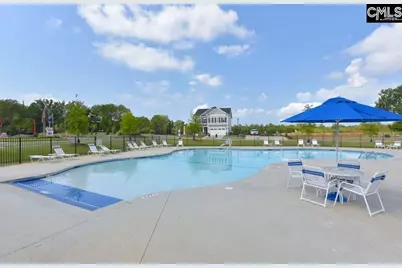 248 Wessinger Farms Road, Chapin, SC 29036 - Photo 46