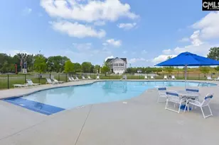 248 Wessinger Farms Rd, Chapin, SC 29036 - Photo 46