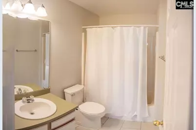 116 Owl Trace Lane, Chapin, SC 29036 - Photo 18