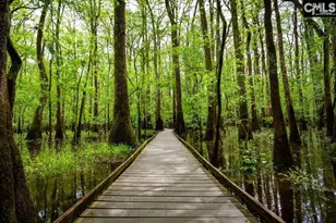 257 wheat farm Rd, Columbia, SC 29209 - Photo 10