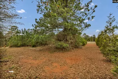 6330 Richburg Road, Great Falls, SC 29055 - Photo 26