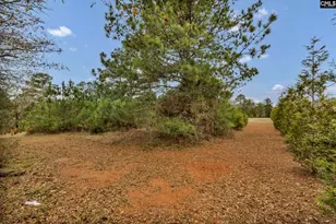 6330 Richburg Rd, Great Falls, SC 29055 - Photo 26