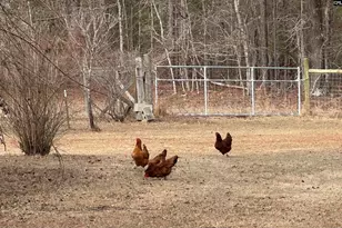 124 Shannon Dr, Swansea, SC 29160 - Photo 22