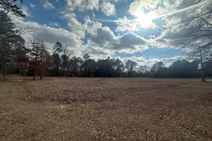 124 Shannon Dr, Swansea, SC 29160 - Photo 38