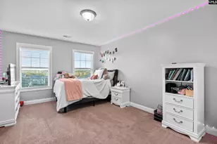 114 Hickory Knob Ct, West Columbia, SC 29170 - Photo 30