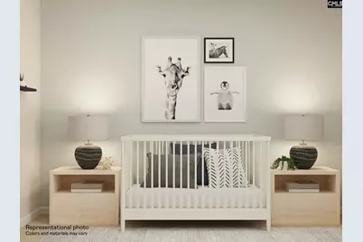 734 Ben Gunn Run, Gilbert, SC 29054 - Photo 20