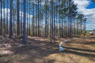 820 Tradesman Ave, Lexington, SC 29072 - Photo 50