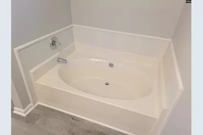 415 Black Avenue, Lexington, SC 29072 - Photo 14