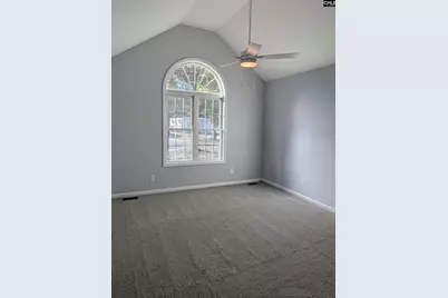 415 Black Avenue, Lexington, SC 29072 - Photo 12